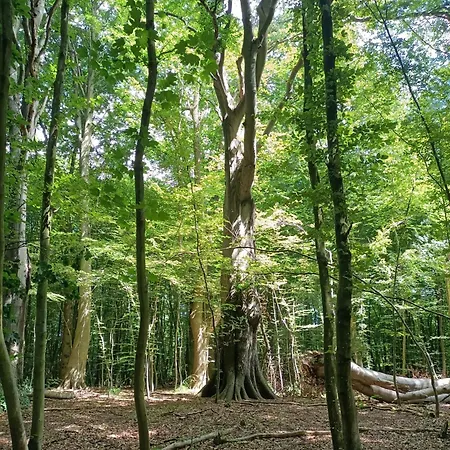 Promienna 7 Apartment Kolobrzeg