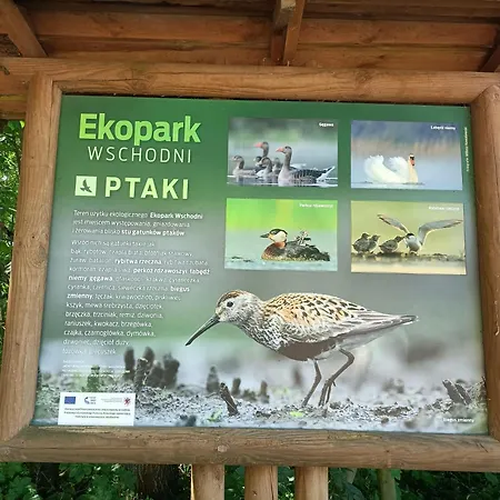 Apartment Promienna 7