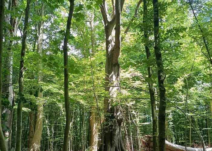 Promienna 7 Apartment Kolobrzeg