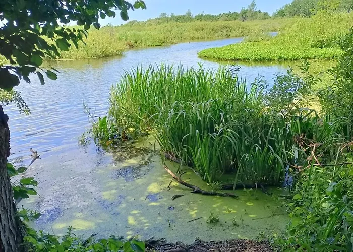 Apartment Promienna 7 Kolobrzeg