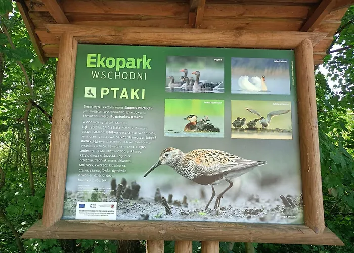 Apartment Promienna 7